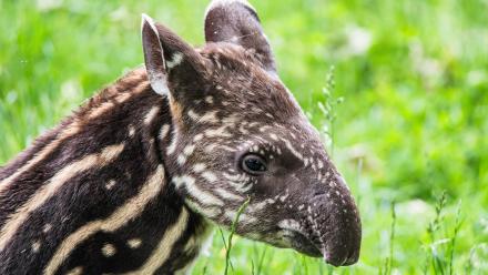 Weirdest: asset-mezzanine-16x9