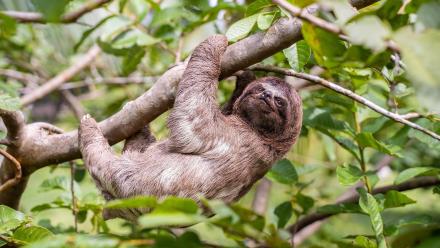 Slowest: asset-mezzanine-16x9