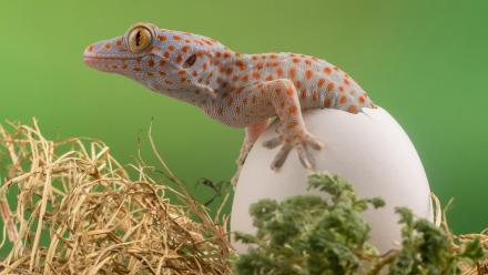 Most Mysterious: asset-mezzanine-16x9