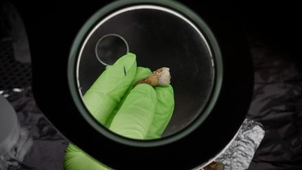 Who is the Mystery Man Buried Under Notre Dame?: asset-mezzanine-16x9