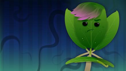 Plant Cells & Hormones: asset-mezzanine-16x9