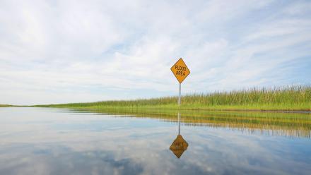 High Tide in Dorchester: asset-mezzanine-16x9