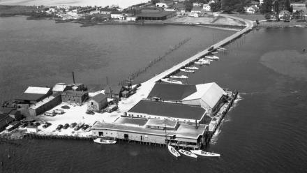 Til-Made, Remembering the Tilghman Packing Company: asset-mezzanine-16x9