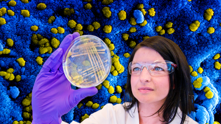 How We Discovered Germs: asset-mezzanine-16x9