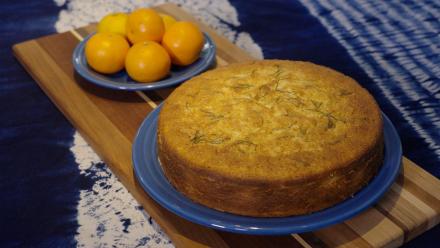 Pollinators and the Urban Forest: asset-mezzanine-16x9