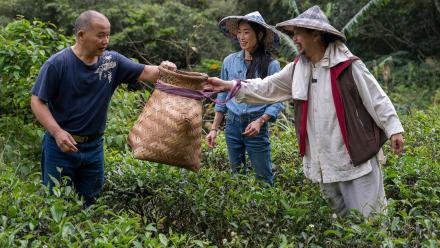 STEEPED IN CULTURE: asset-mezzanine-16x9