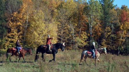 Exploring New England by Land & Sea: asset-mezzanine-16x9