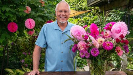 Honeycomb Blooms: asset-mezzanine-16x9