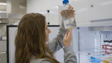 Mystery of the Spinning Fish | Changing Seas | Preview: asset-mezzanine-16x9