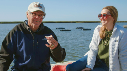 Life Aquatic: asset-mezzanine-16x9