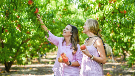 Boxed In: asset-mezzanine-16x9