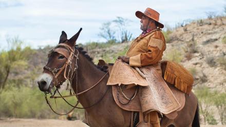 La Recua: The Mule Pack Train: asset-mezzanine-16x9