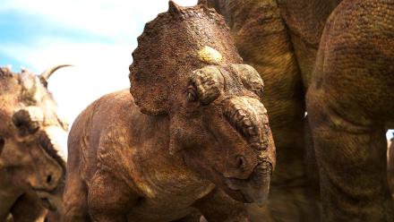 The Journey North: asset-mezzanine-16x9