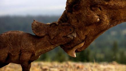 Baby Pachyrhinosaurus Struggles to Survive in the Wilderness: asset-mezzanine-16x9