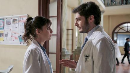 Forever Beautiful: asset-mezzanine-16x9