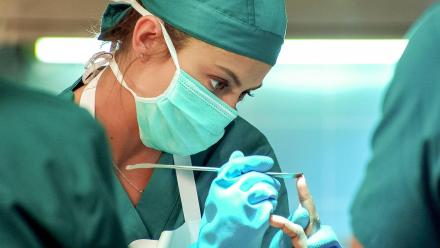 The Apprentice: asset-mezzanine-16x9