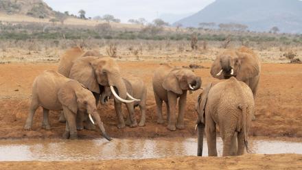 Episode 2: asset-mezzanine-16x9