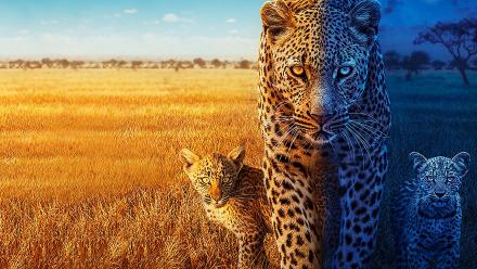 Season 2 Preview: asset-mezzanine-16x9