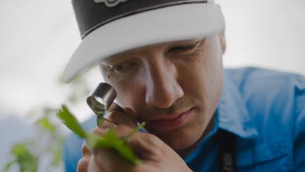 The Enemy of My Enemy: asset-mezzanine-16x9