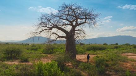 Episode 3: asset-mezzanine-16x9