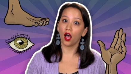 The Ancient Origins of Body Words: asset-mezzanine-16x9