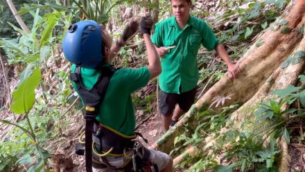 The Last Creature on the Mountain: asset-mezzanine-16x9