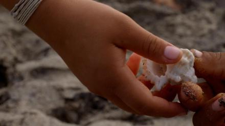 Mamo Camilo and the Spiritual Beliefs of the Arhuaco: asset-mezzanine-16x9