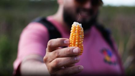 Tradicion: asset-mezzanine-16x9