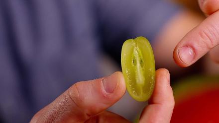 Why Seedless Fruit Is a Disaster Waiting To Happen: asset-mezzanine-16x9
