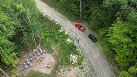 Yankee Bees: asset-mezzanine-16x9