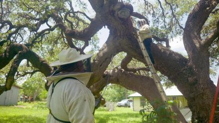 Forced Absconds: asset-mezzanine-16x9