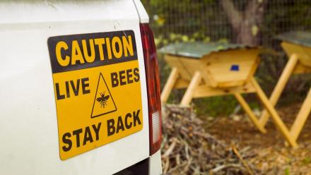 Top Bar: asset-mezzanine-16x9