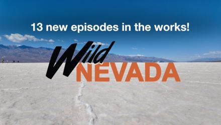 Support Season 8 of WILD NEVADA: asset-mezzanine-16x9