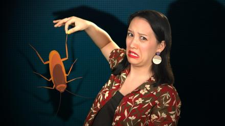 Popular Word Origins That Are Totally Wrong: asset-mezzanine-16x9