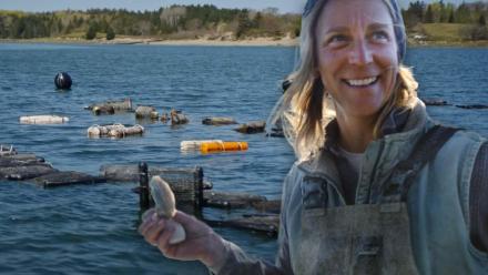 How This Oyster Farmer is Reinventing Aquaculture: asset-mezzanine-16x9