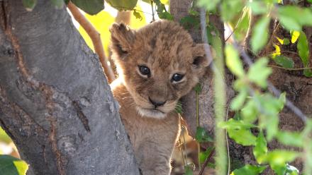 Episode 5 Preview: asset-mezzanine-16x9