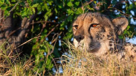 Episode 4 Preview: asset-mezzanine-16x9