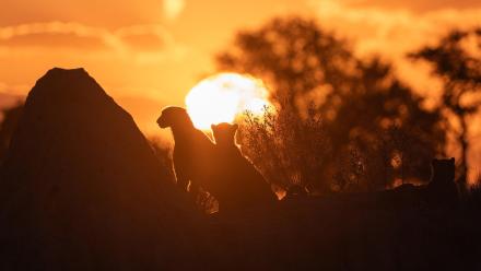 Episode 6 Preview: asset-mezzanine-16x9