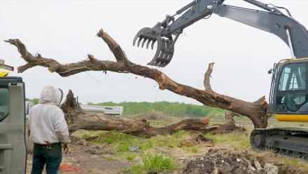 Bee Expansion: asset-mezzanine-16x9