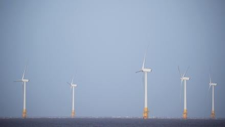 Economic fallout mounts as Trump halts wind power project: asset-mezzanine-16x9