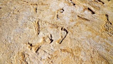 These Ancient Footprints Rewrite North American History: asset-mezzanine-16x9