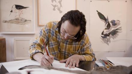 Inks and Oddities: Justin Gibbens: asset-mezzanine-16x9