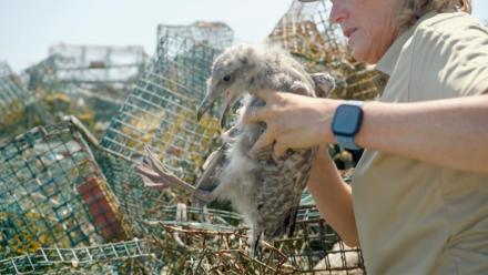 Meeting a Growing Fire Challenge, Ghost Gear, Healthy Farms, Cleaner Water, Birth of Upper Mississippi River Refuge: asset-mezzanine-16x9