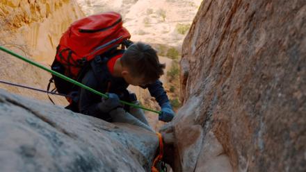 Florida Fighters: asset-mezzanine-16x9