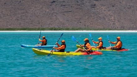 Paddles Away!: asset-mezzanine-16x9