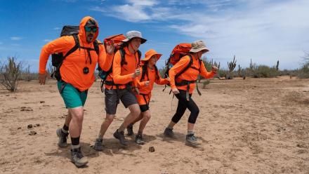 A Sea of Sharks!: asset-mezzanine-16x9