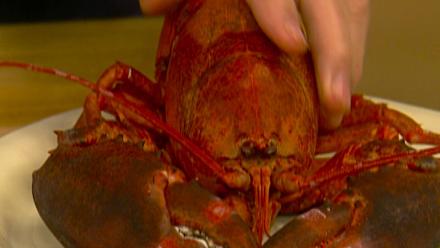 Cooking Under Pressure: asset-mezzanine-16x9