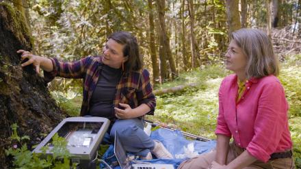 Revealing What Lies Beneath: Melinda Hurst Frye: asset-mezzanine-16x9