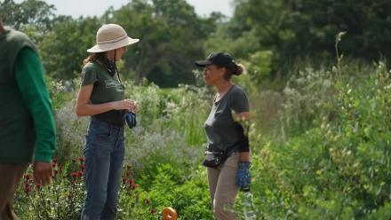 A Detroit public garden thrives with help from volunteers: asset-mezzanine-16x9