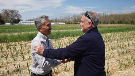 Organic Beginnings: asset-mezzanine-16x9